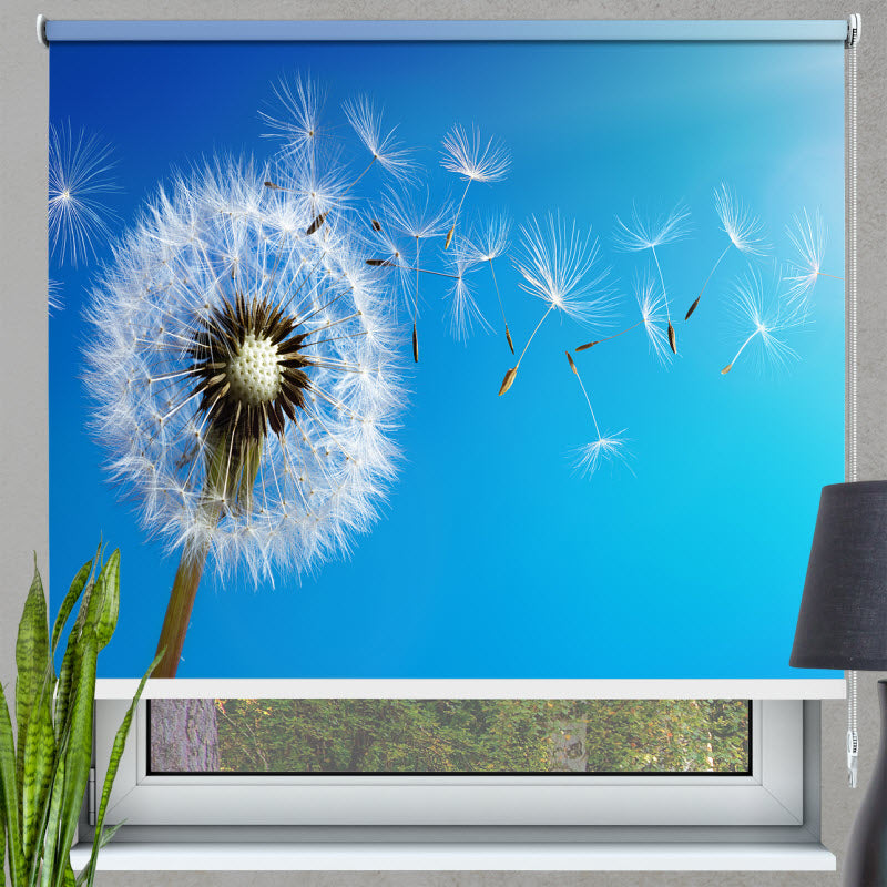 Rollo mit Motiv: Pusteblume