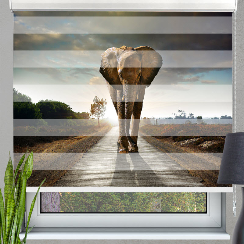 Doppelrollo mit Motiv: Der Elefant