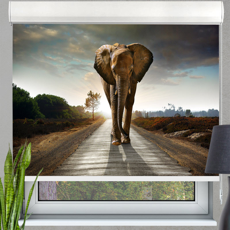 Kassettenrollo mit Motiv: Der Elefant