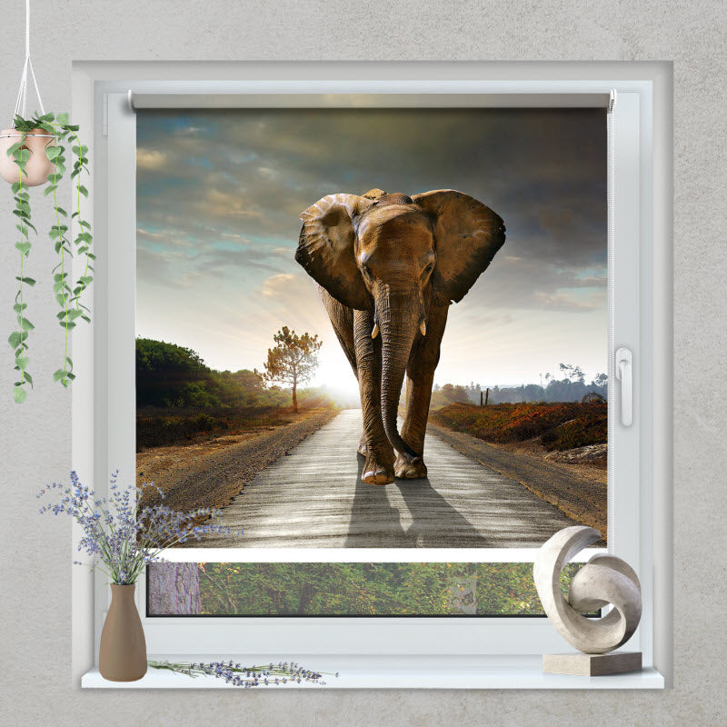 Klemmfix Rollo mit Motiv: Der Elefant