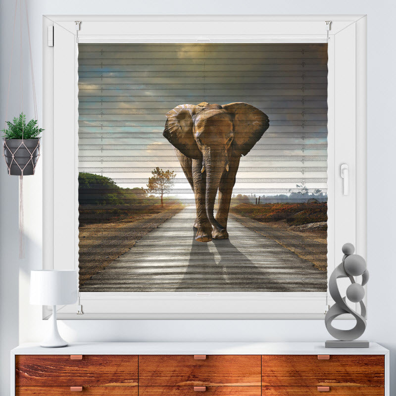 Plissee mit Motiv: Der Elefant