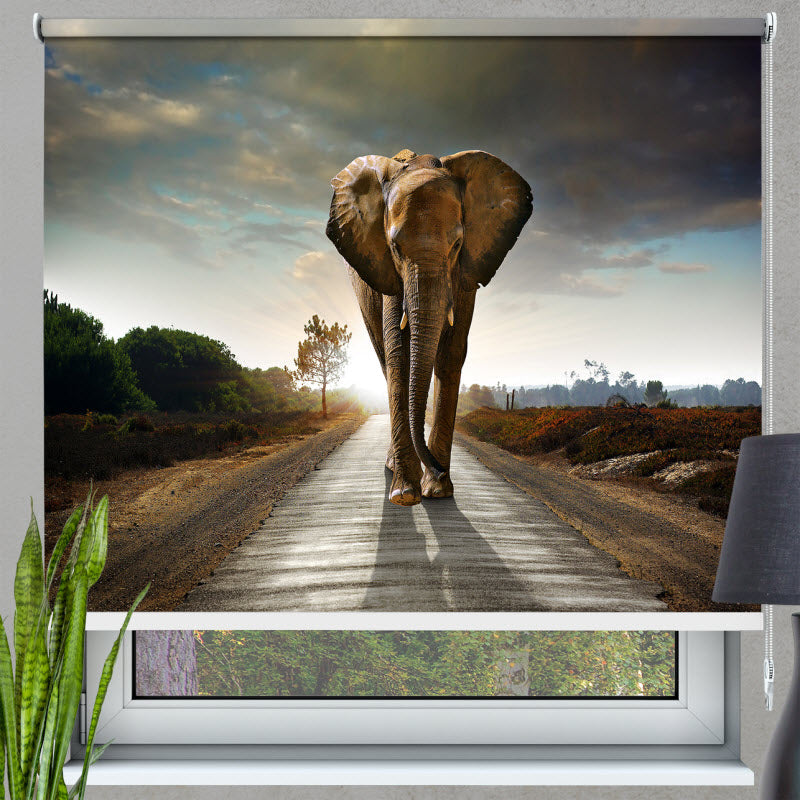 Rollo mit Motiv: Der Elefant