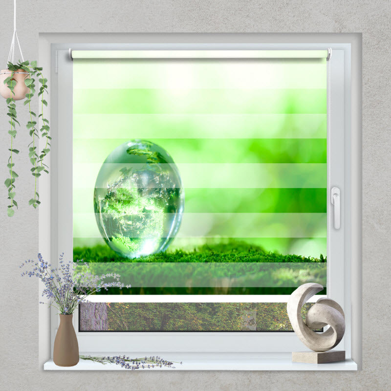 Klemmfix Doppelrollo mit Motiv: Erdball auf grünem Moos