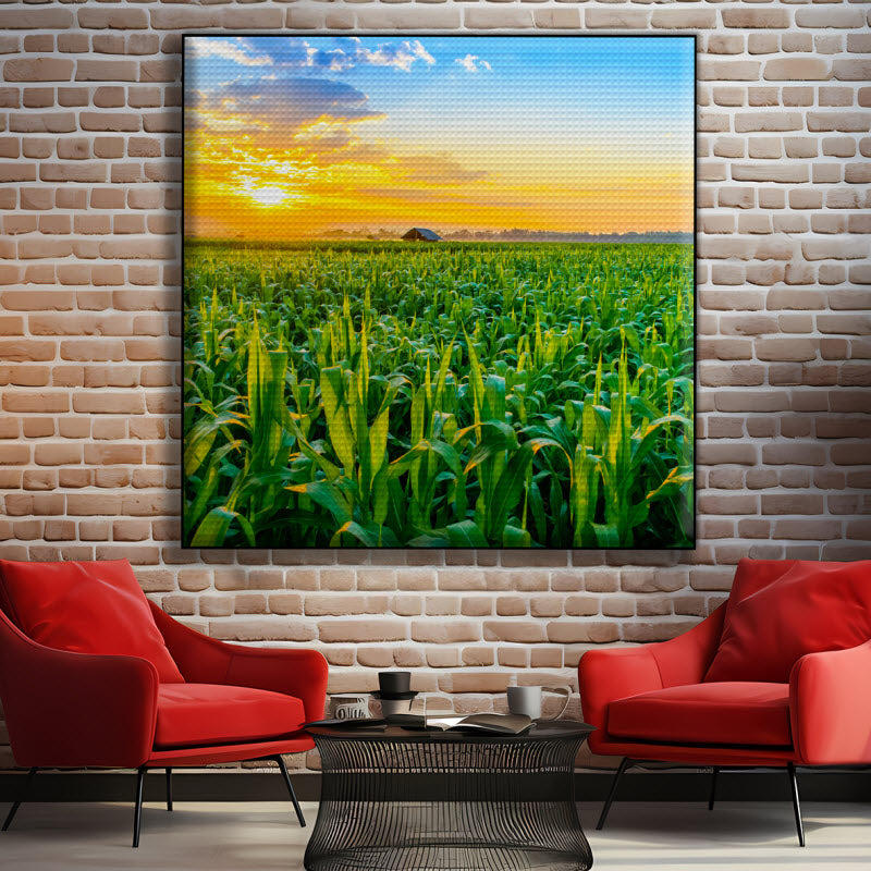 Akustikstoff mit Motiv: Maisfeld mit Sonnenuntergang