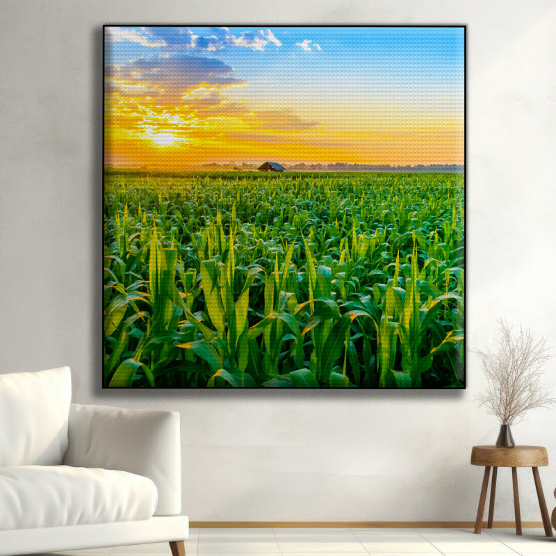 Akustikstoff mit Motiv: Maisfeld mit Sonnenuntergang