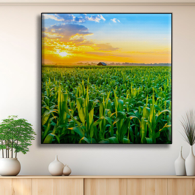 Akustikstoff mit Motiv: Maisfeld mit Sonnenuntergang