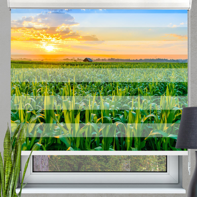Doppelrollo mit Motiv: Maisfeld mit Sonnenuntergang