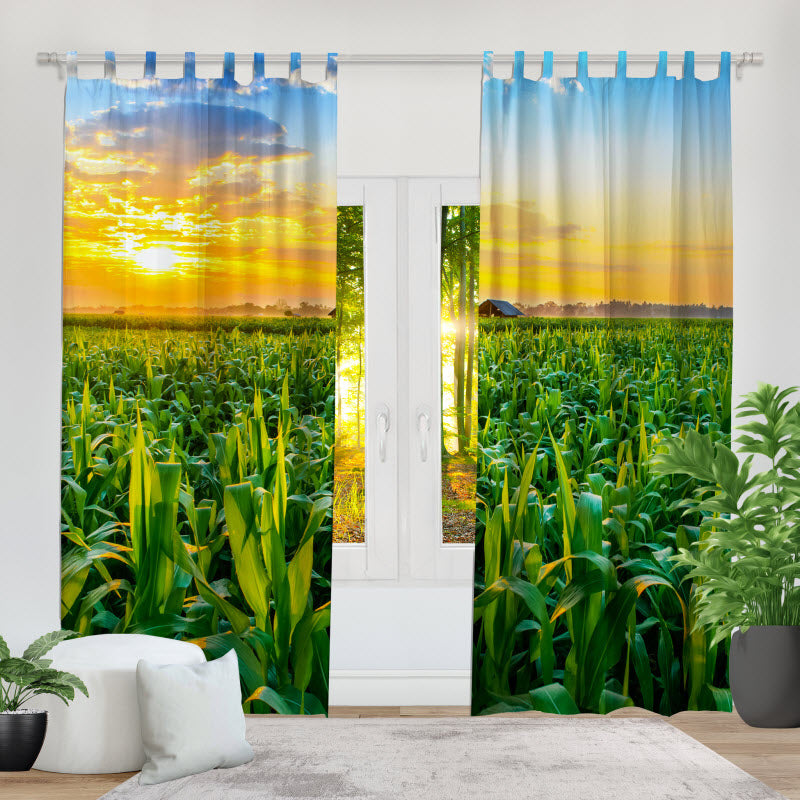 Fotovorhang: Maisfeld mit Sonnenuntergang
