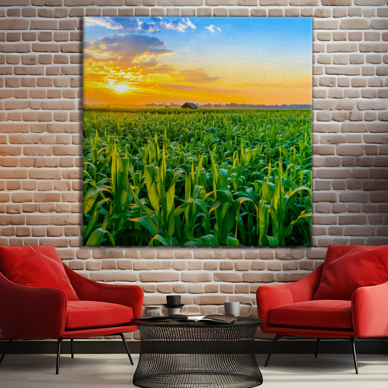 Leinwand mit Motiv: Maisfeld mit Sonnenuntergang