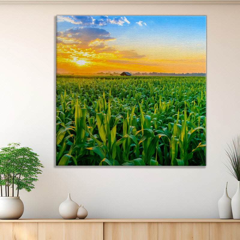 Leinwand mit Motiv: Maisfeld mit Sonnenuntergang
