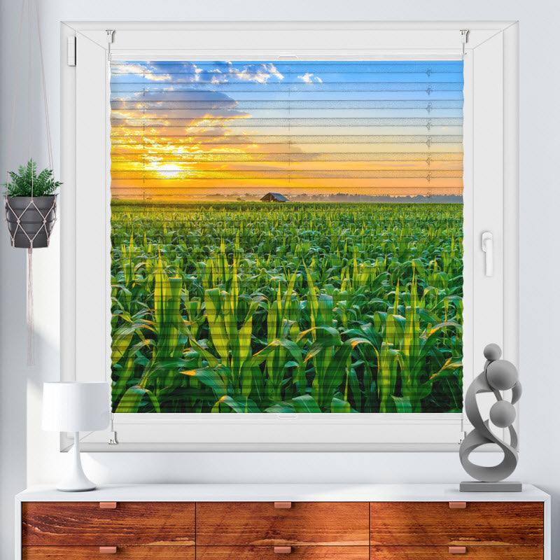 Wabenplissee mit Motiv: Maisfeld mit Sonnenuntergang