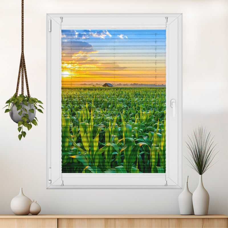 Plissee mit Motiv: Maisfeld mit Sonnenuntergang