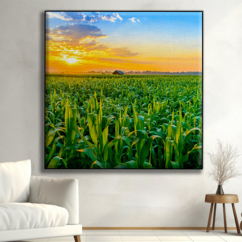Textilspannrahmen mit Motiv: Maisfeld mit Sonnenuntergang