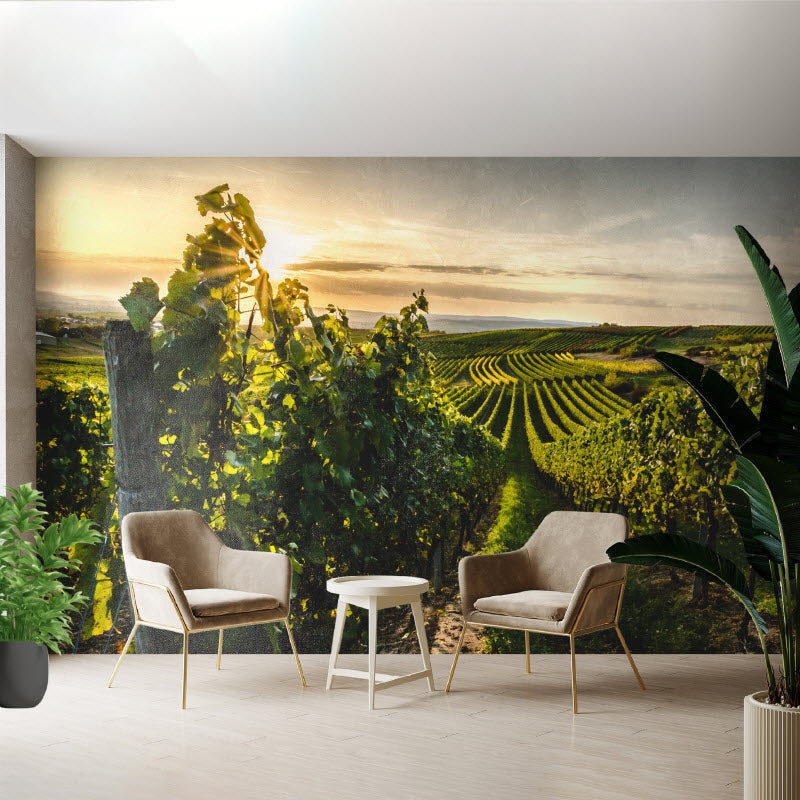 Tapete mit Motiv: Weinberg