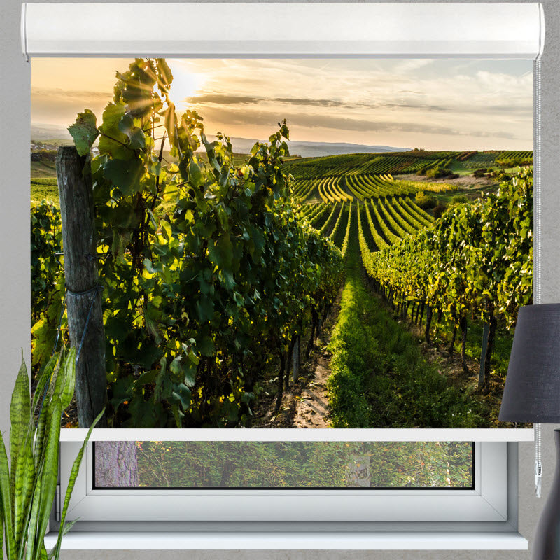 Kassettenrollo mit Motiv: Weinberg