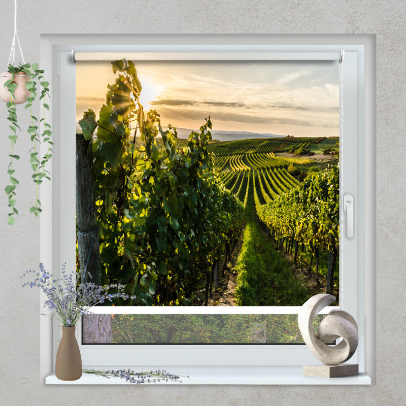 Klemmfix Rollo mit Motiv: Weinberg