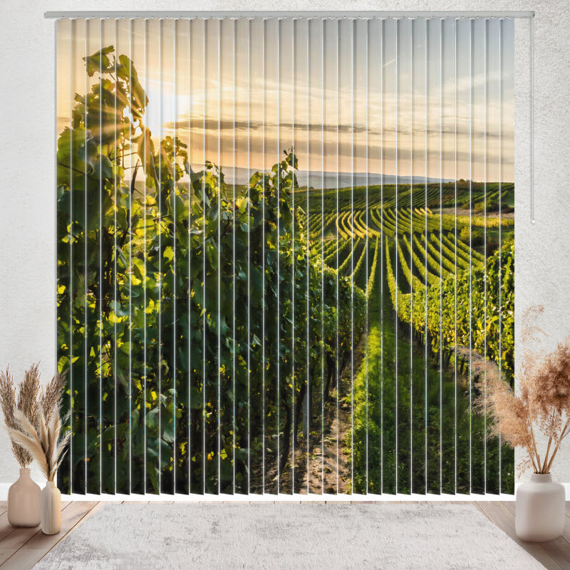Lamellenvorhang mit Motiv: Weinberg