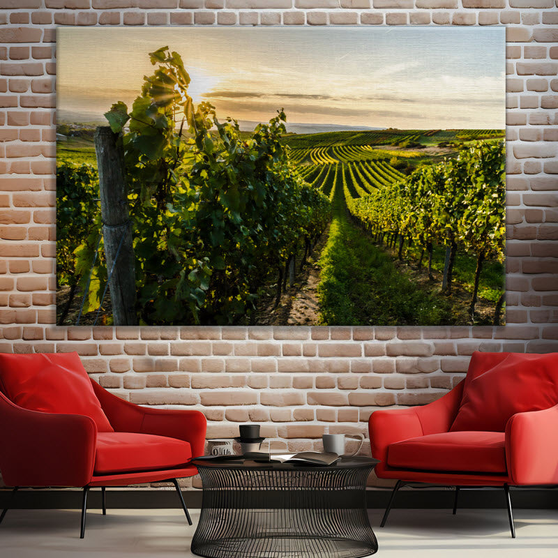 Leinwand mit Motiv: Weinberg
