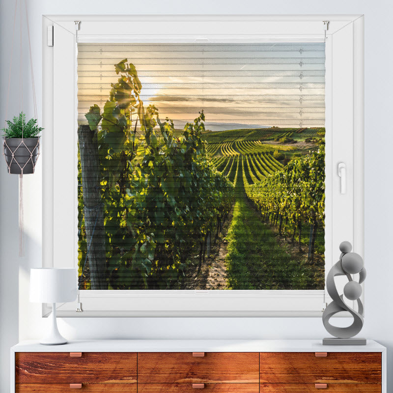 Wabenplissee mit Motiv: Weinberg