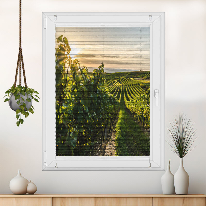 Wabenplissee mit Motiv: Weinberg