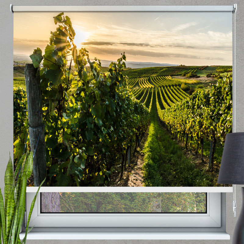 Rollo mit Motiv: Weinberg