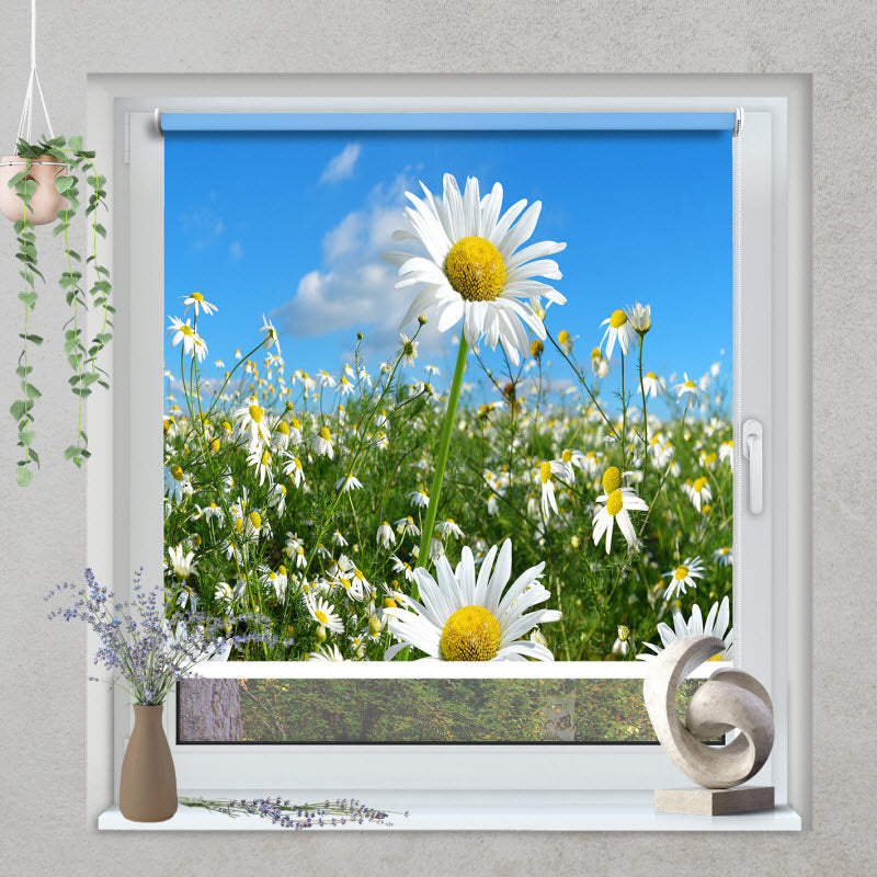 Klemmfix Rollo mit Motiv: Gänseblümchen
