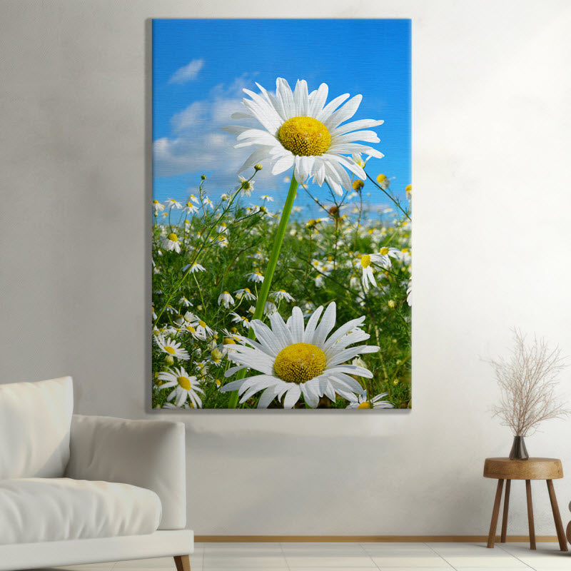 Leinwand mit Motiv: Gänseblümchen