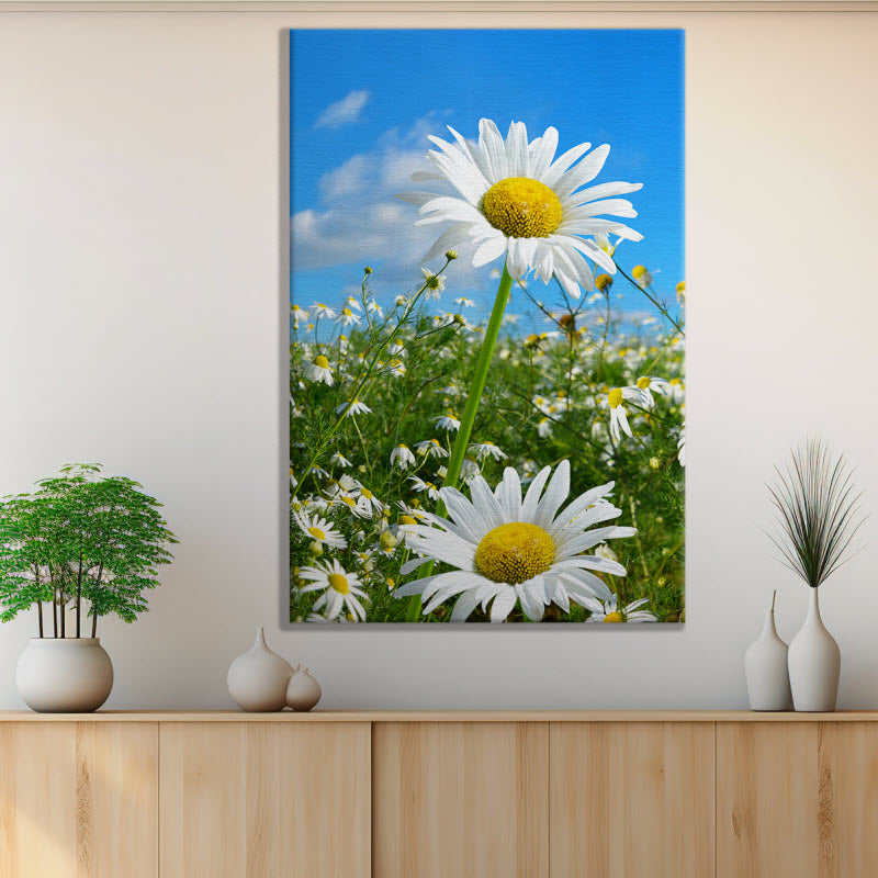 Leinwand mit Motiv: Gänseblümchen