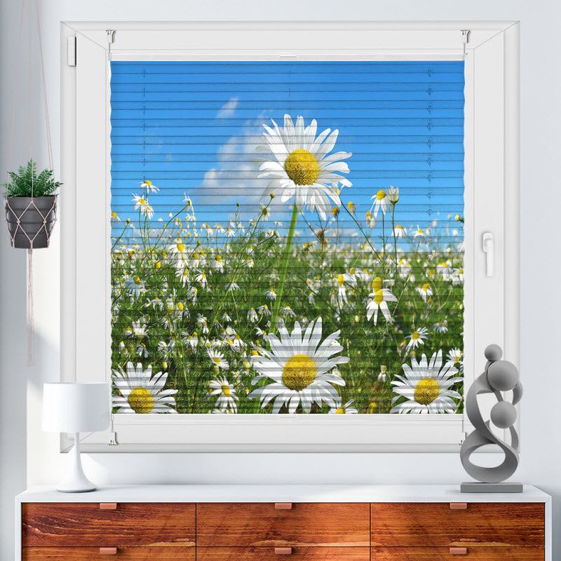 Plissee mit Motiv: Gänseblümchen