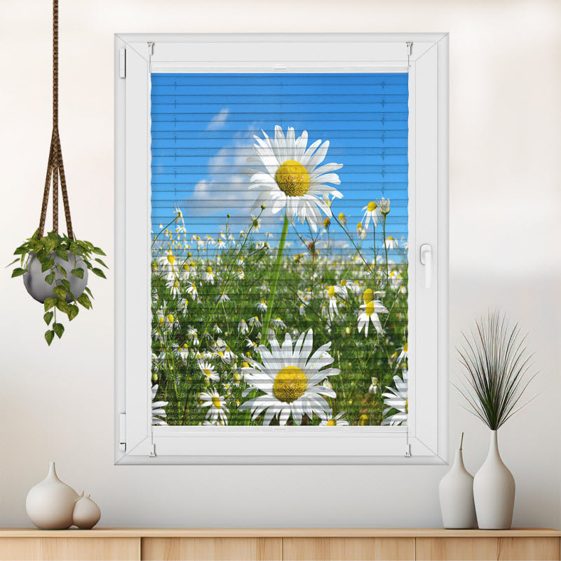 Wabenplissee mit Motiv: Gänseblümchen