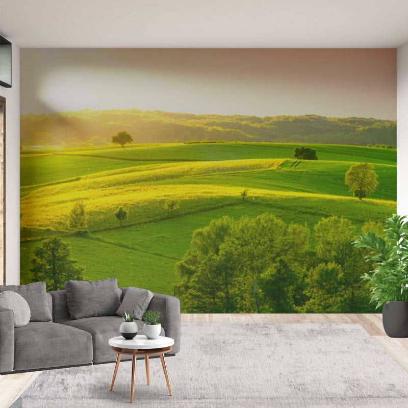 Tapete mit Motiv: Grünes Feld