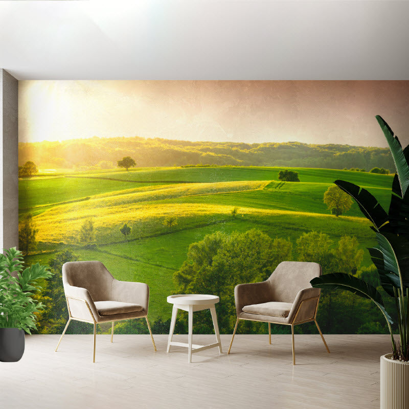 Tapete mit Motiv: Grünes Feld