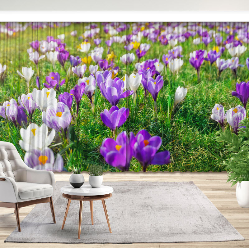 Fotovorhang: Frühlingsblumen