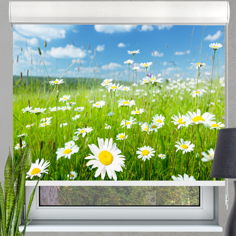 Kassettenrollo mit Motiv: Gänseblühmchenwiese