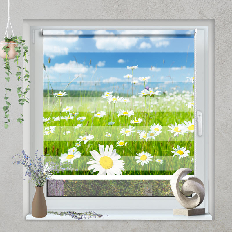 Klemmfix Doppelrollo mit Motiv: Gänseblühmchenwiese