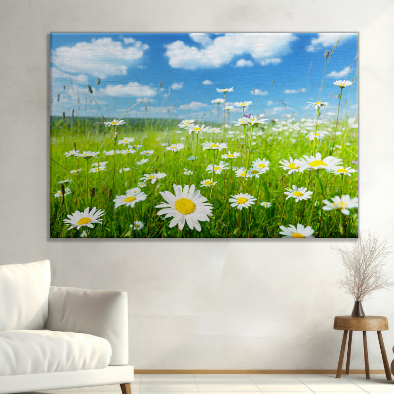 Leinwand mit Motiv: Gänseblühmchenwiese