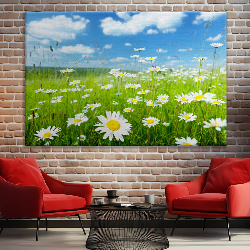 Leinwand mit Motiv: Gänseblühmchenwiese