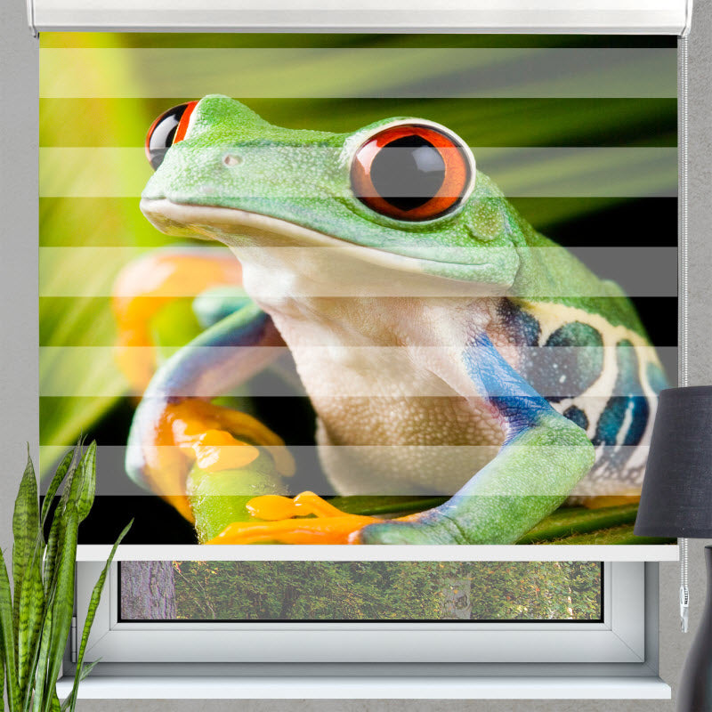 Doppelrollo mit Motiv: Frosch auf Pflanze