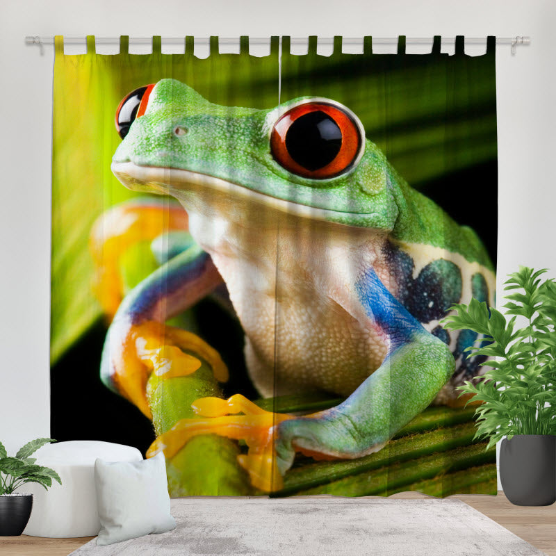Fotovorhang: Frosch auf Pflanze