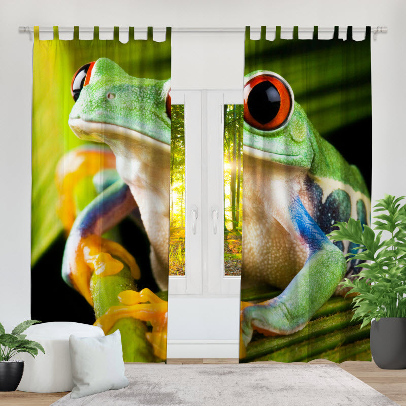 Fotovorhang: Frosch auf Pflanze