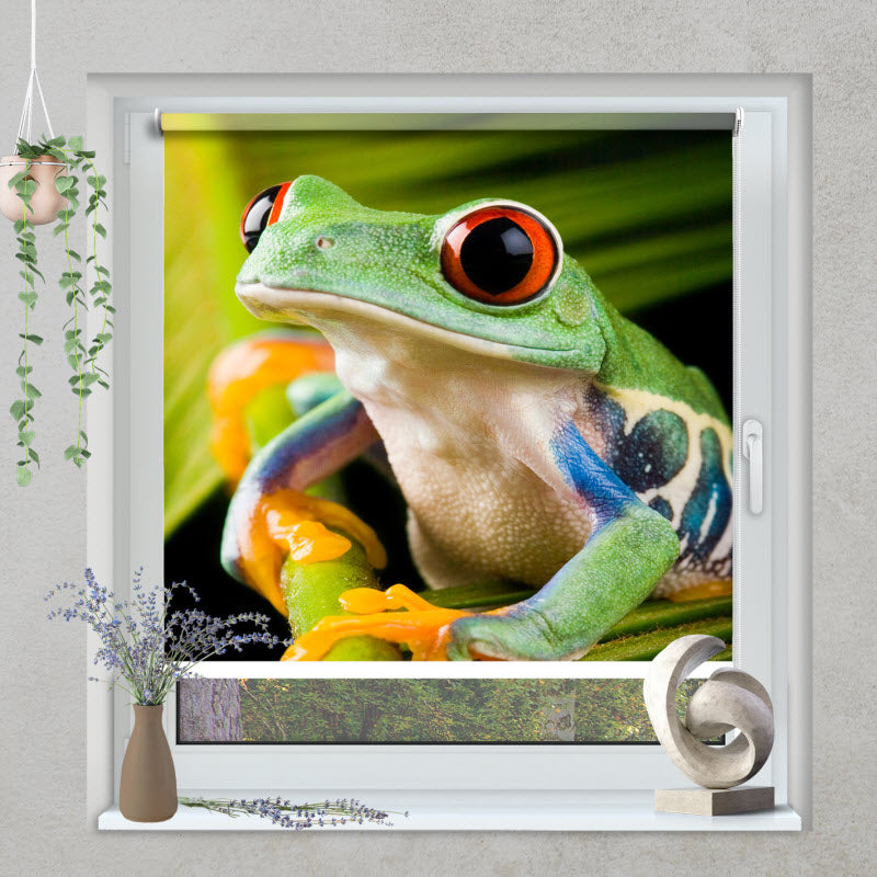 Klemmfix Rollo mit Motiv: Frosch auf Pflanze