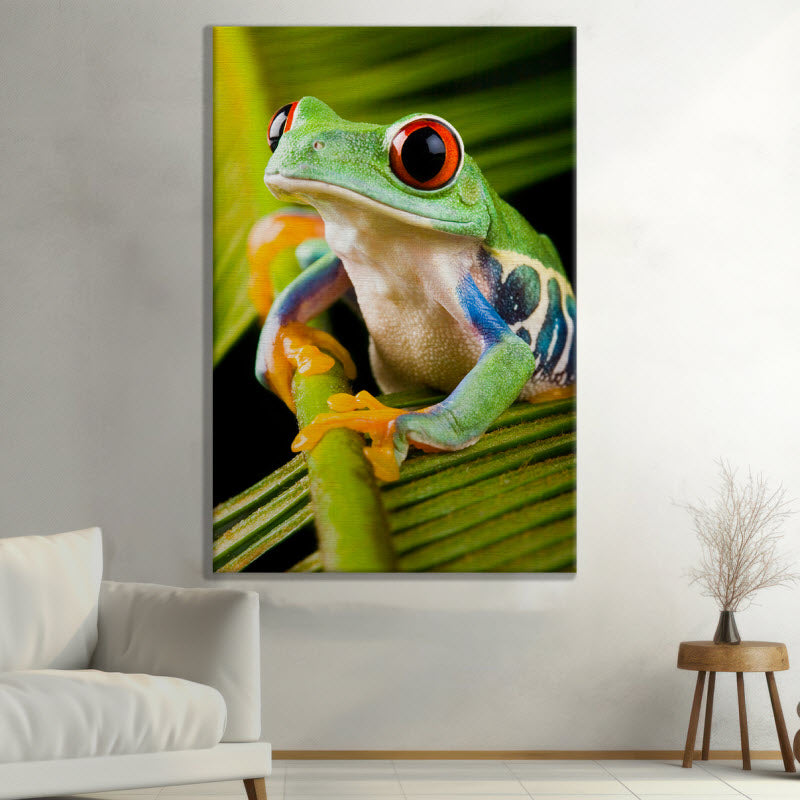 Leinwand mit Motiv: Frosch auf Pflanze