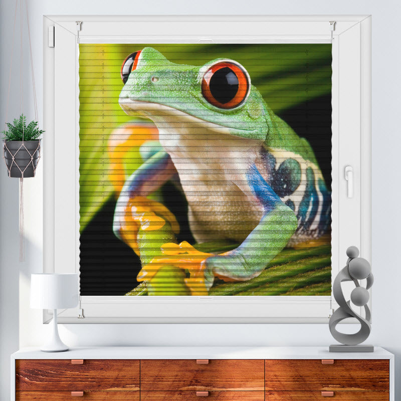 Plissee mit Motiv: Frosch auf Pflanze