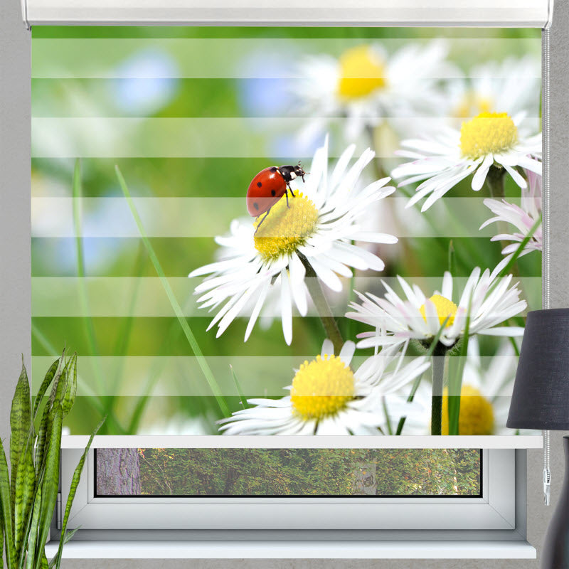 Doppelrollo mit Motiv: Marienkäfer auf Gänseblümchen