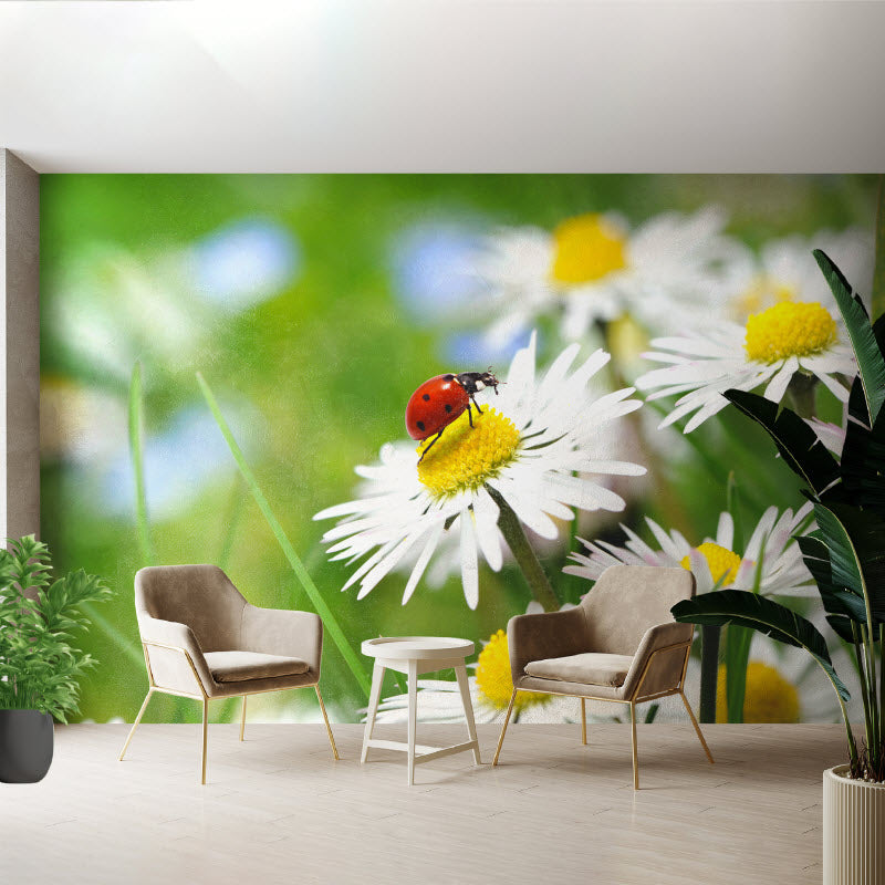 Tapete mit Motiv: Marienkäfer auf Gänseblümchen