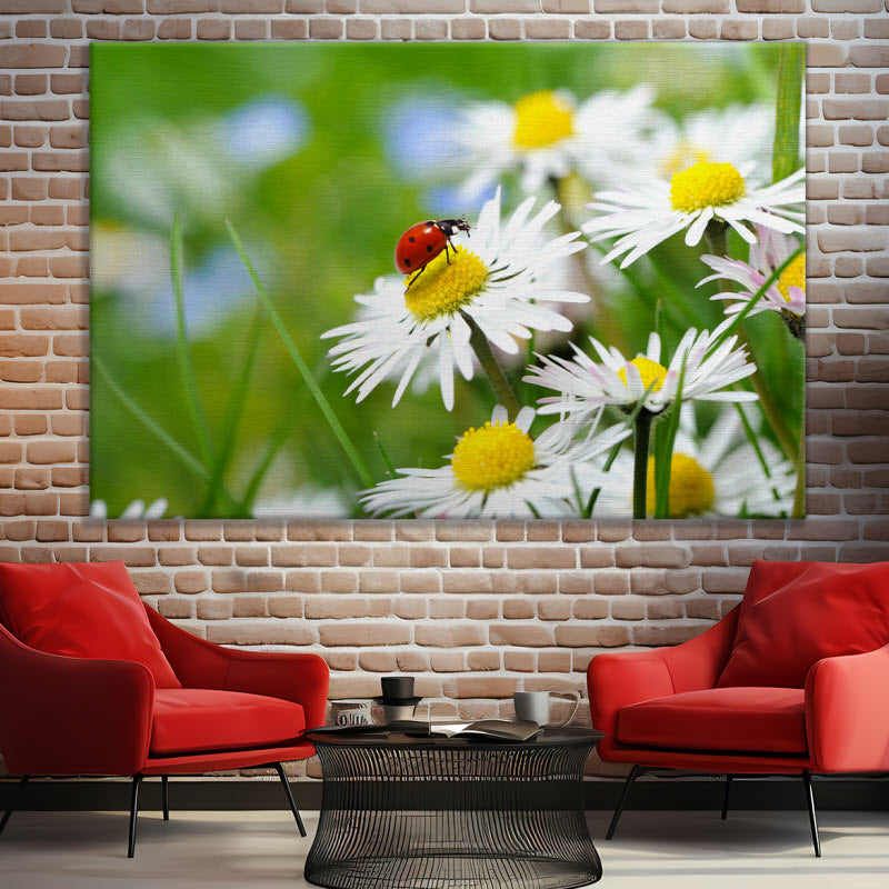Leinwand mit Motiv: Marienkäfer auf Gänseblümchen