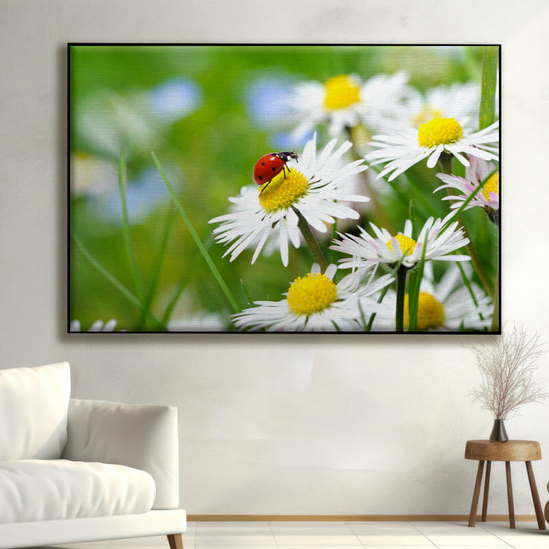 Textilspannrahmen mit Motiv: Marienkäfer auf Gänseblümchen