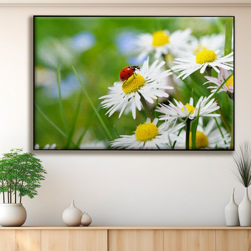 Textilspannrahmen mit Motiv: Marienkäfer auf Gänseblümchen