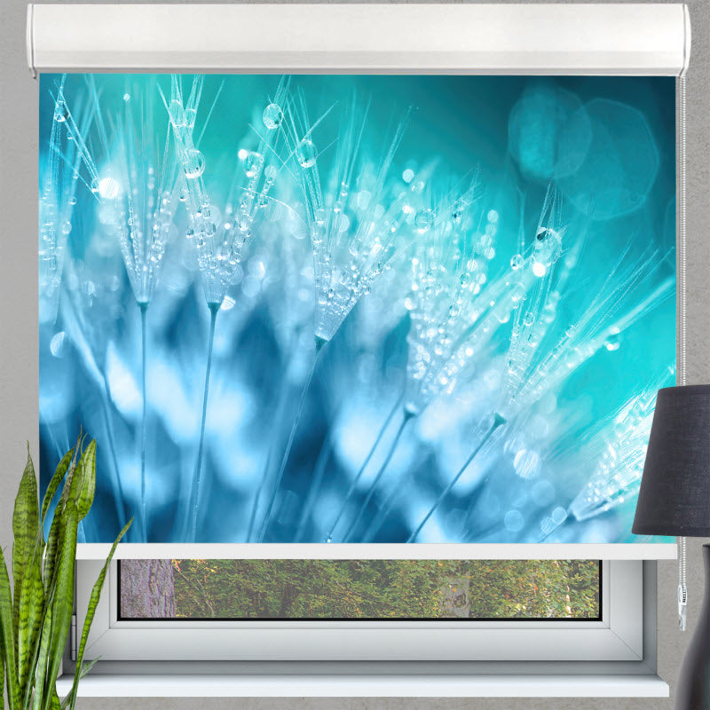 Kassettenrollo mit Motiv: Pusteblume mit Wassertropfen
