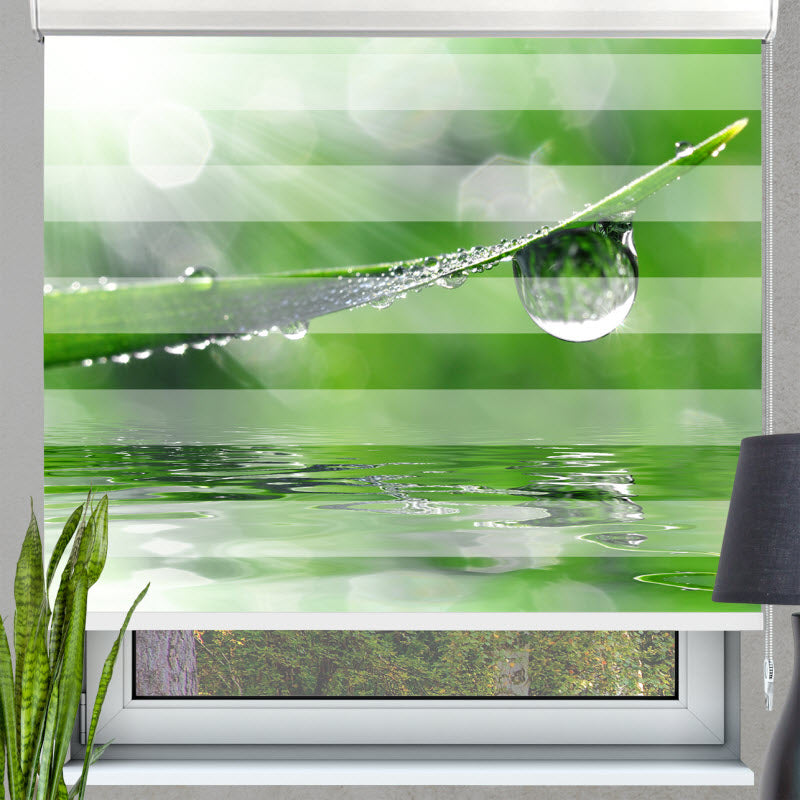 Doppelrollo mit Motiv: Wassertropfen auf Gras